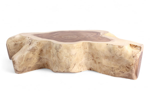Nature Free Form Block Coffee Table