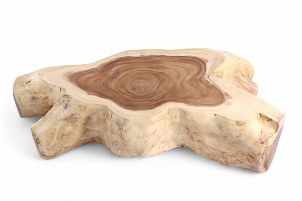 Nature Free Form Block Coffee Table