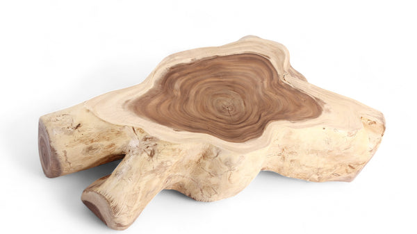 Nature Free Form Block Coffee Table