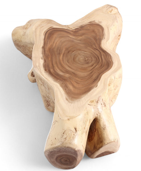 Nature Free Form Block Coffee Table