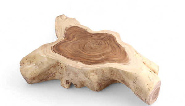 Nature Free Form Block Coffee Table