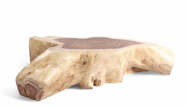 Nature Free Form Block Coffee Table