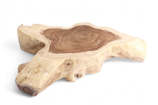 Nature Free Form Block Coffee Table