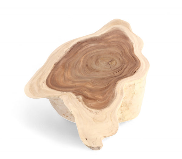 Nature Free Form Block Coffee Table