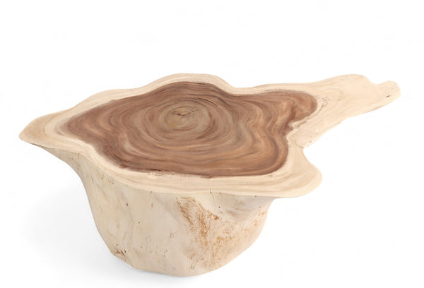 Nature Free Form Block Coffee Table