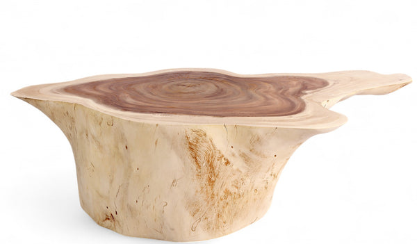 Nature Free Form Block Coffee Table