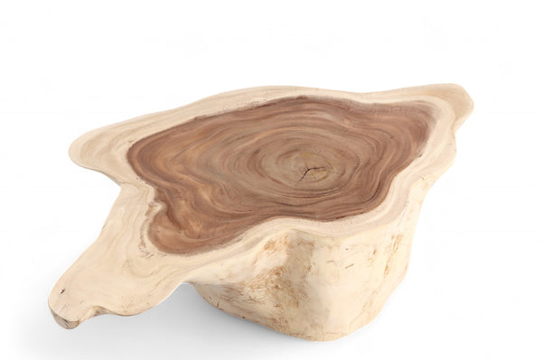 Nature Free Form Block Coffee Table