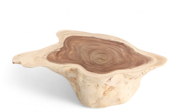 Nature Free Form Block Coffee Table