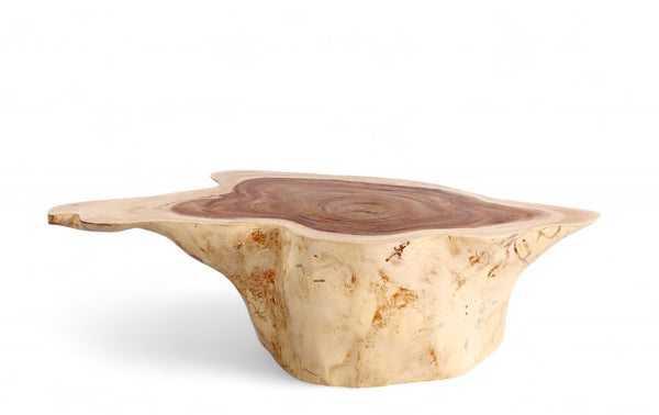 Nature Free Form Block Coffee Table