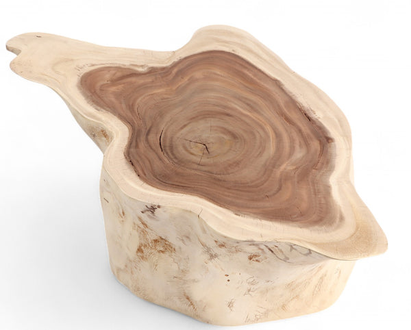 Nature Free Form Block Coffee Table
