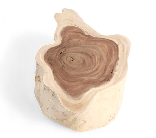 Nature Free Form Block Coffee Table