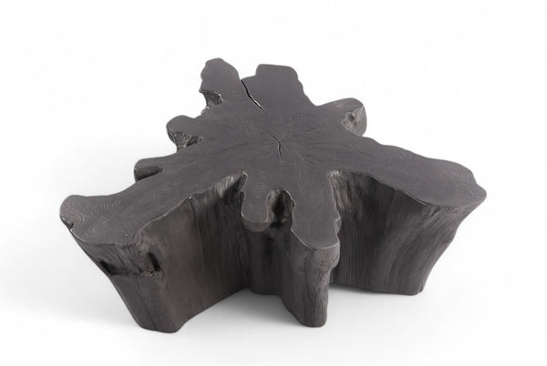Charred Black Teak Root Coffee Table