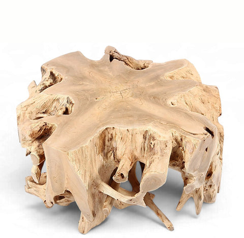 Free Form Teak Root Coffee Table 2