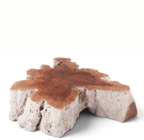 Organic Lychee Block Coffee Table W3