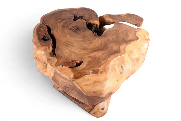 61” Wide Natural Form Organic Teak Root Coffee Table