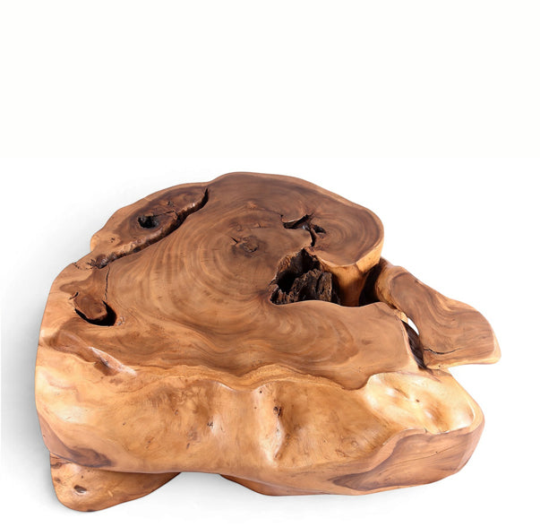 61” Wide Natural Form Organic Teak Root Coffee Table