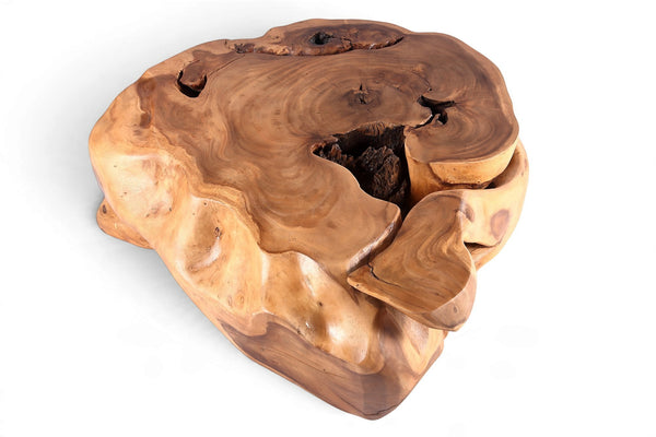 61” Wide Natural Form Organic Teak Root Coffee Table