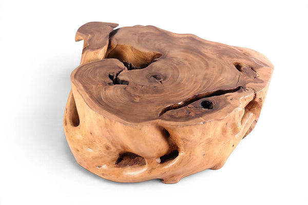 61” Wide Natural Form Organic Teak Root Coffee Table