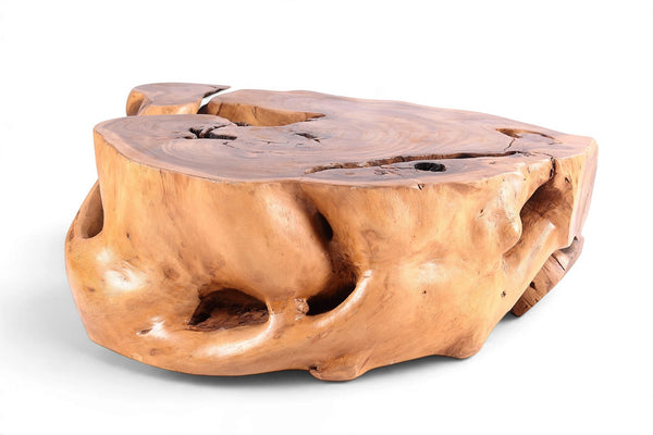 61” Wide Natural Form Organic Teak Root Coffee Table