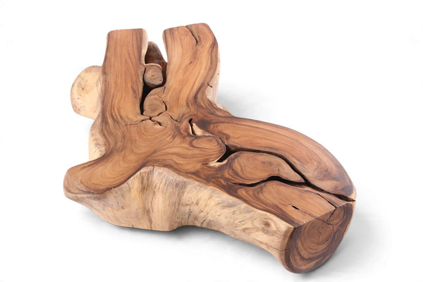 67” Rectangular Teak Root Coffee Table