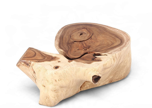 Organic Suar Wood Onion Shape Accent Table