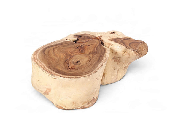 Organic Suar Wood Onion Shape Accent Table