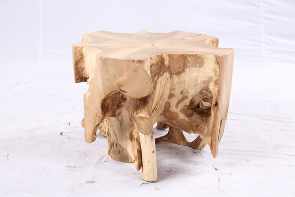 Free Form 23” Organic Teak Root Side Table 7.1