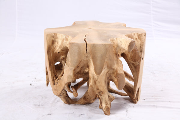 Free Form 23” Organic Teak Root Side Table 7.1