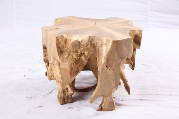 Free Form 23” Organic Teak Root Side Table 7.1