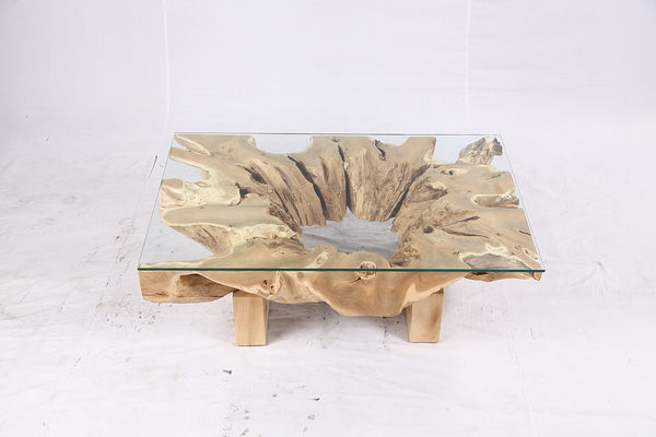 48” Inch Rectangular Sculptured Teak Root Coffee Table 242A