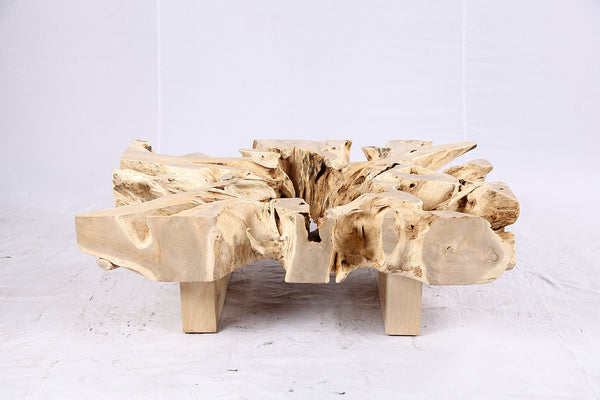 48” Inch Rectangular Sculptured Teak Root Coffee Table 243B