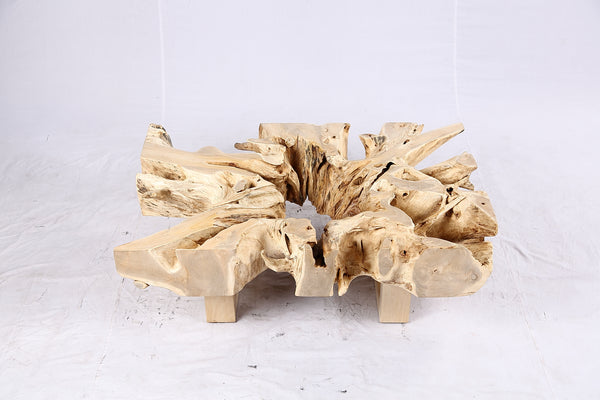 48” Inch Rectangular Sculptured Teak Root Coffee Table 243B