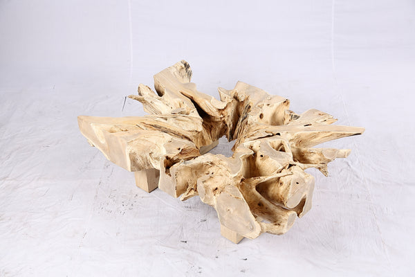 48” Inch Rectangular Sculptured Teak Root Coffee Table 243B