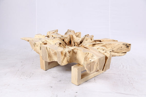 48” Inch Rectangular Sculptured Teak Root Coffee Table 243B