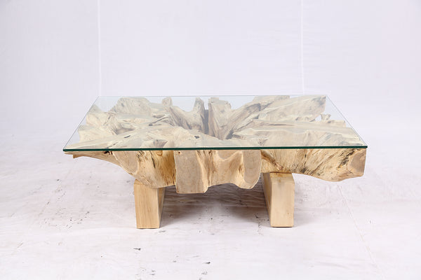 48” Inch Rectangular Sculptured Teak Root Coffee Table 243A