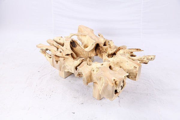48” Inch Rectangular Sculptured Teak Root Coffee Table 241B