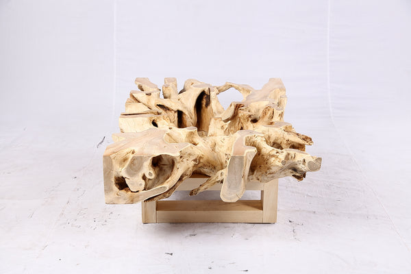 48” Inch Rectangular Sculptured Teak Root Coffee Table 241B