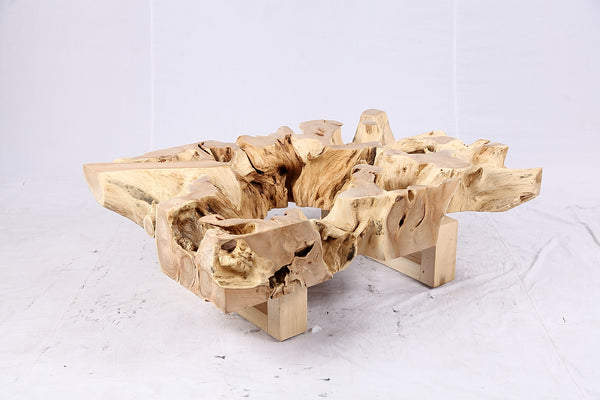 48” Inch Rectangular Sculptured Teak Root Coffee Table 244B