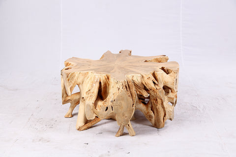 Free Form Teak Root Coffee Table 3