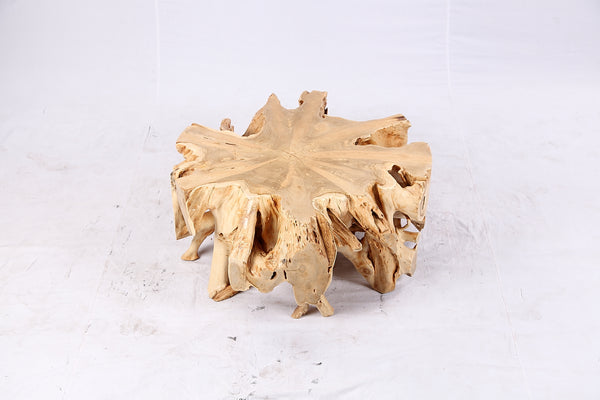 Free Form Teak Root Coffee Table 3