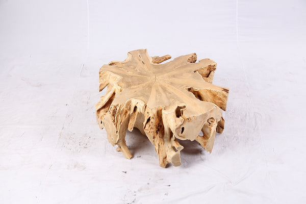 Free Form Teak Root Coffee Table 3