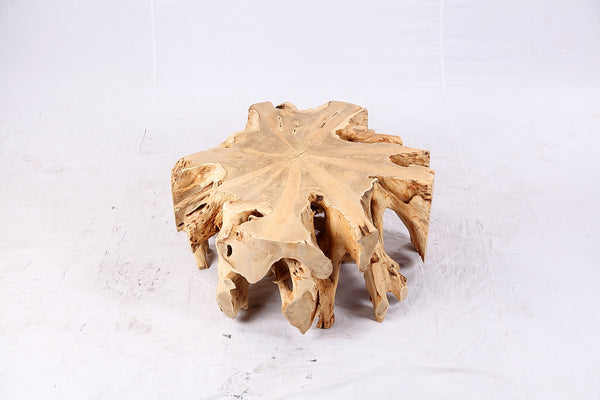Free Form Teak Root Coffee Table 3