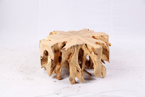 Free Form Teak Root Coffee Table 3