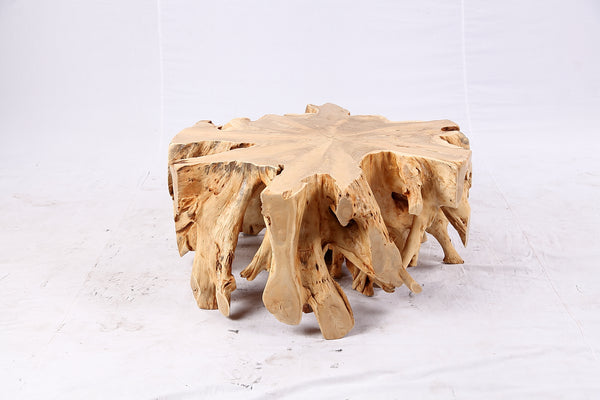 Free Form Teak Root Coffee Table 3