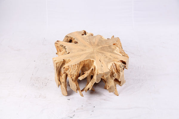 Free Form Teak Root Coffee Table 3