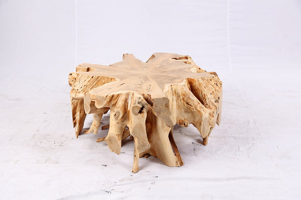 Free Form Teak Root Coffee Table 3