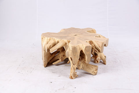 Free Form Teak Root Coffee Table 4
