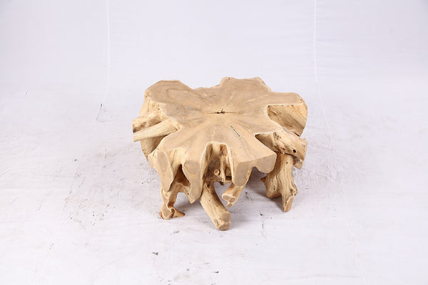 Free Form Teak Root Coffee Table 4