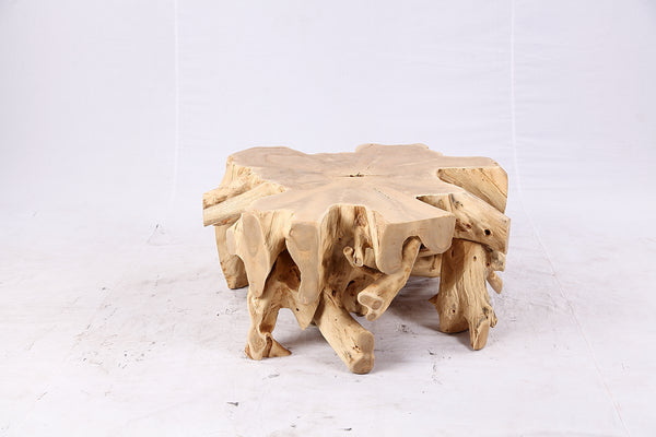Free Form Teak Root Coffee Table 4