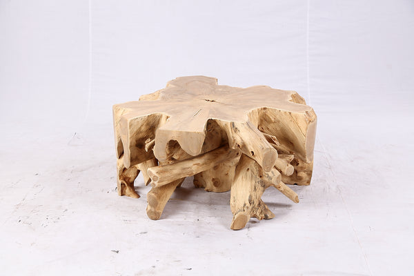 Free Form Teak Root Coffee Table 4